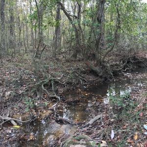 Meet your Posher, Trey